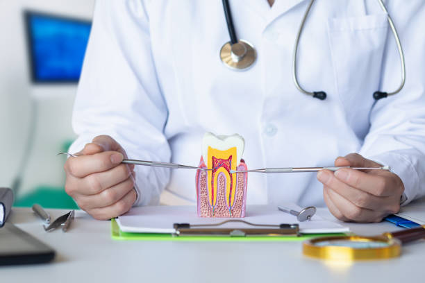 Best Emergency Root Canal Treatment in Walnutport, PA